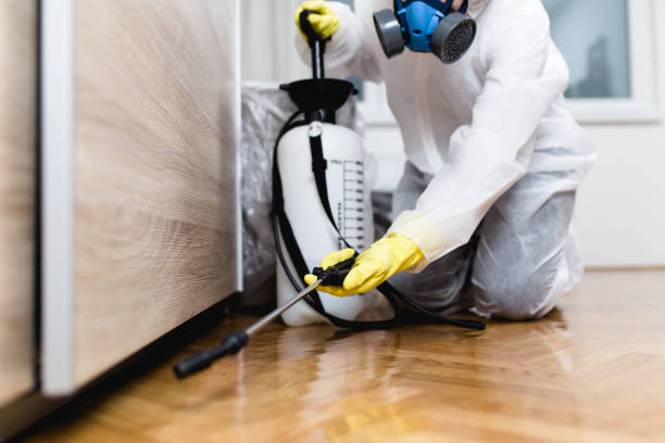 Pest Control for Restaurants in Daisetta, TX