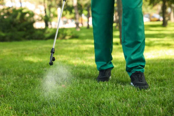 Best Rat Extermination Near Me  in Daisetta, TX