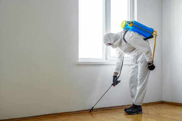 Trusted Daisetta, TX Pest Control Experts