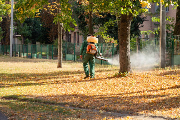 Best Pest Removal Services  in Daisetta, TX